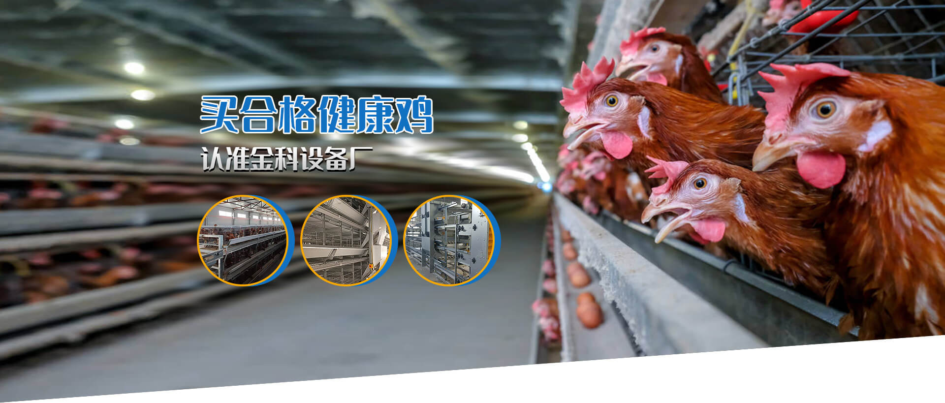 偃師市高龍鎮(zhèn)金科養(yǎng)殖設(shè)備廠