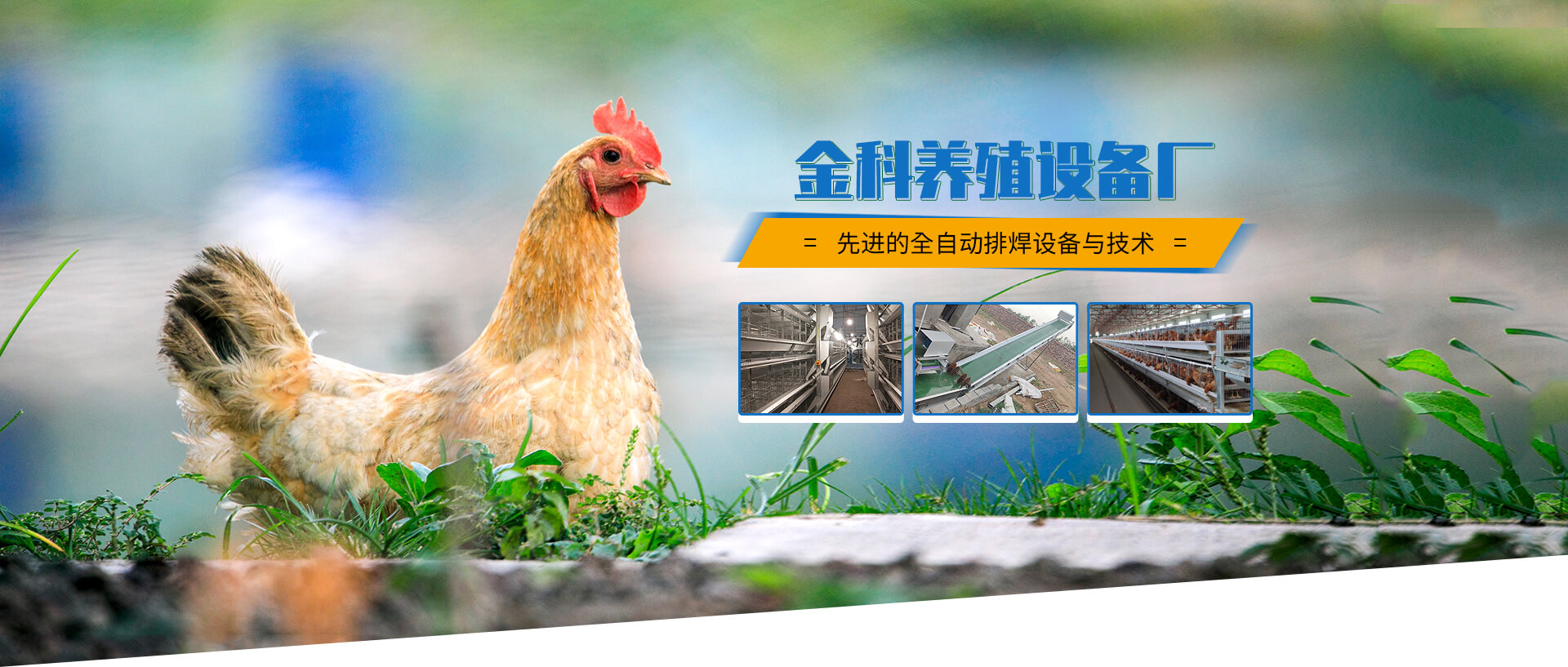偃師市高龍鎮(zhèn)金科養(yǎng)殖設(shè)備廠
